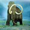 A mammoth task