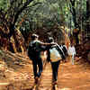 Construction of Neral-Matheran ropeway to begin in December